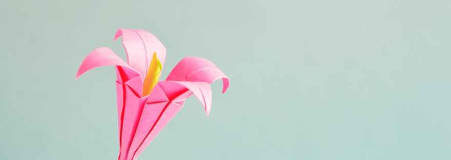 origami pink flower lily